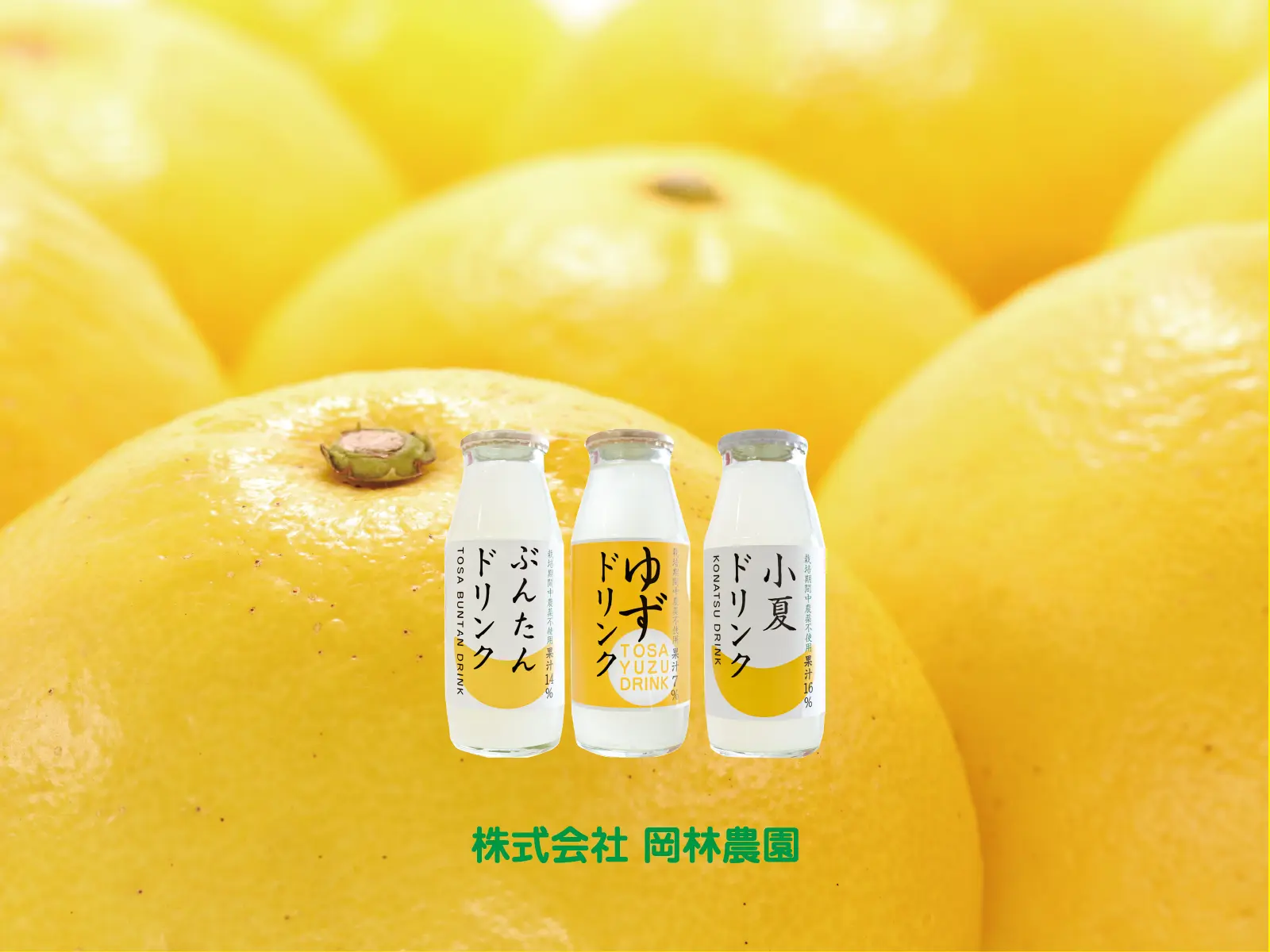 オンラインショップ リニューアル
