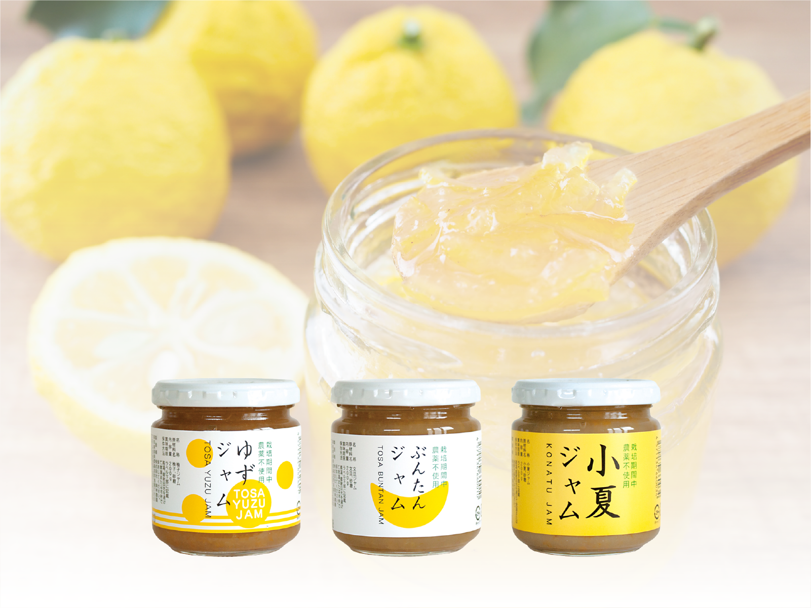 柑橘のおいしさを、ひとさじに。